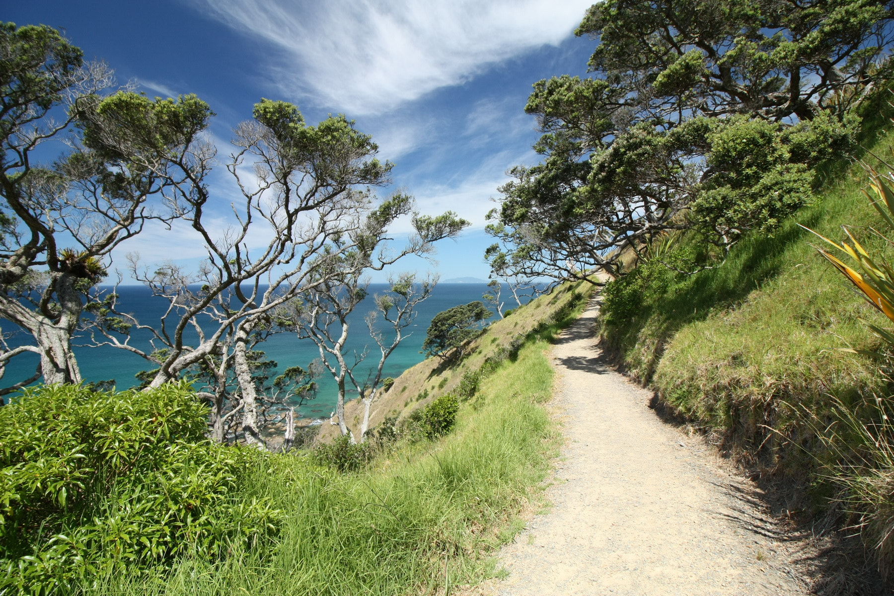 Canon EF-S 10-18mm F4.5–5.6 IS STM sample photo. Mangawhai heads photography
