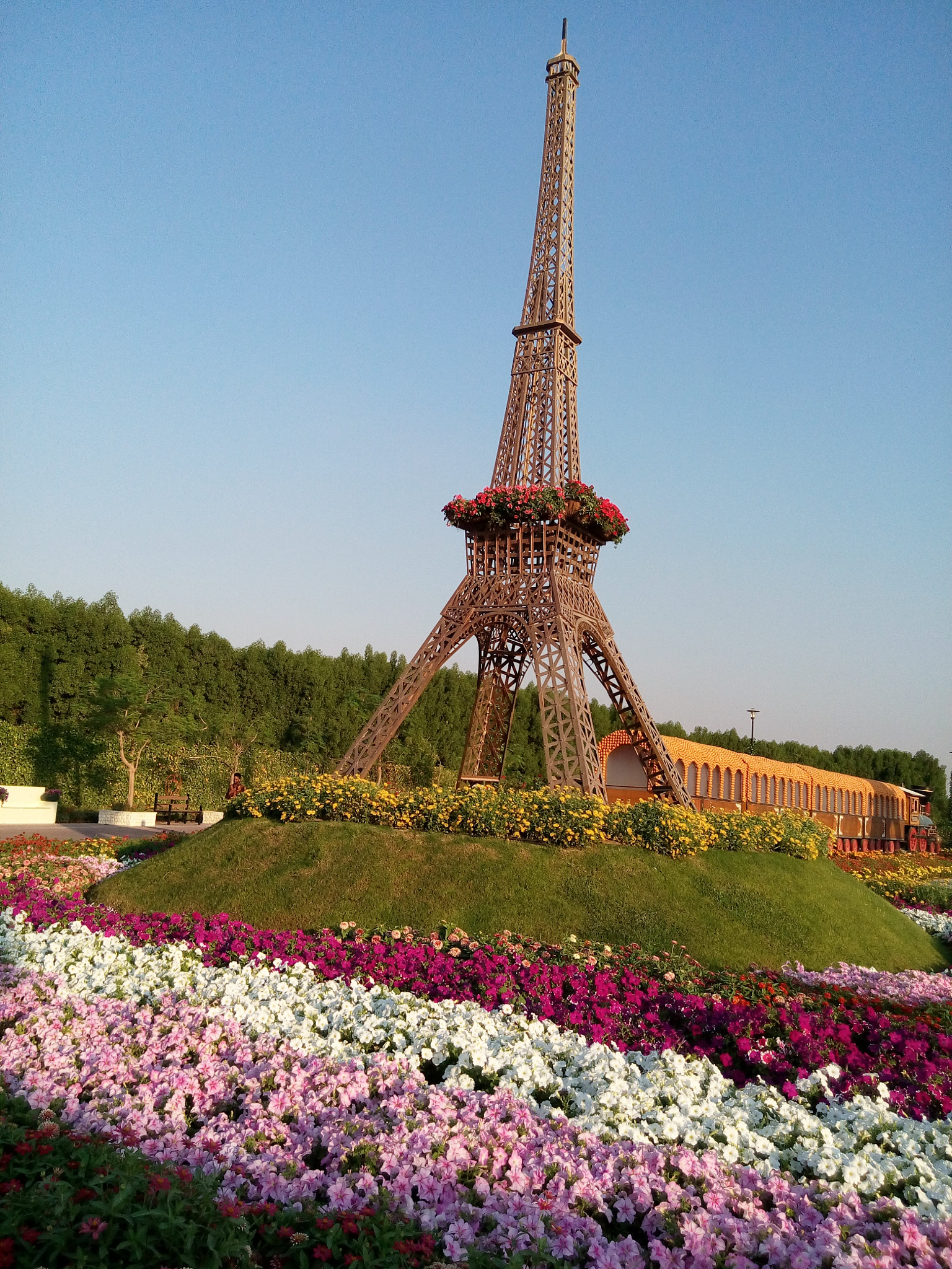 HUAWEI G750-U10 sample photo. Img_20151129_163148.jpg photography
