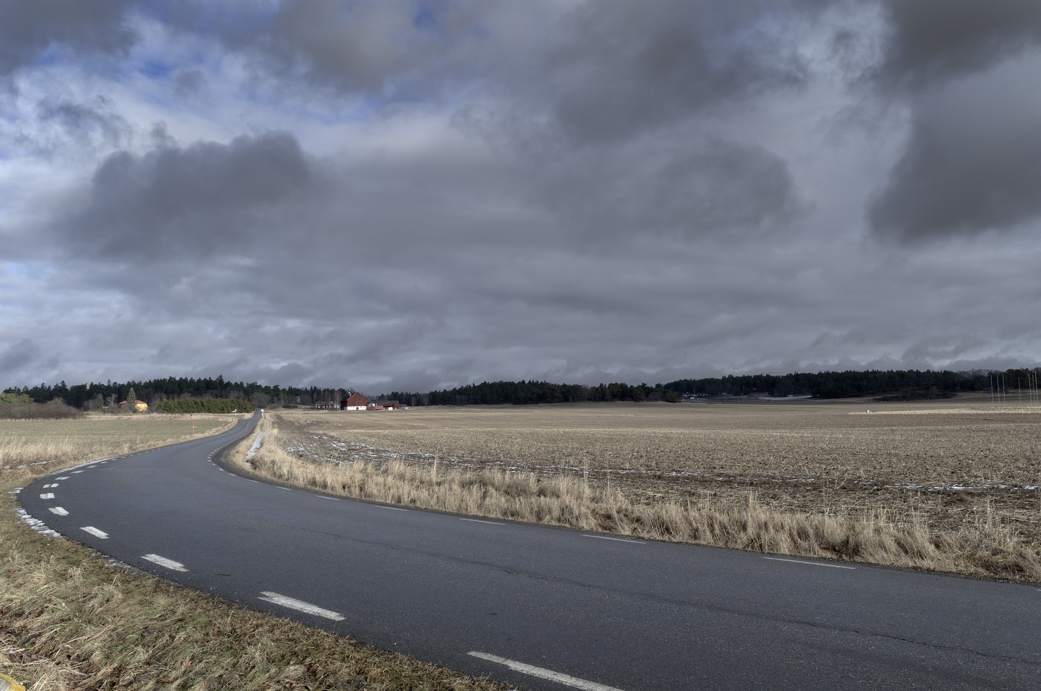 Leica S2 sample photo