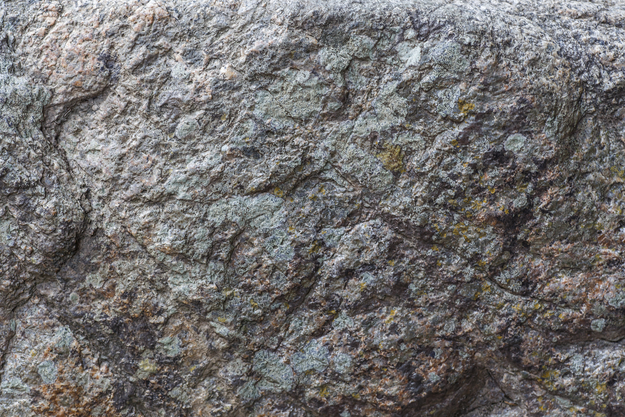 Tamron SP AF 90mm F2.8 Di Macro sample photo. Stone pattern detail, macro photography photography