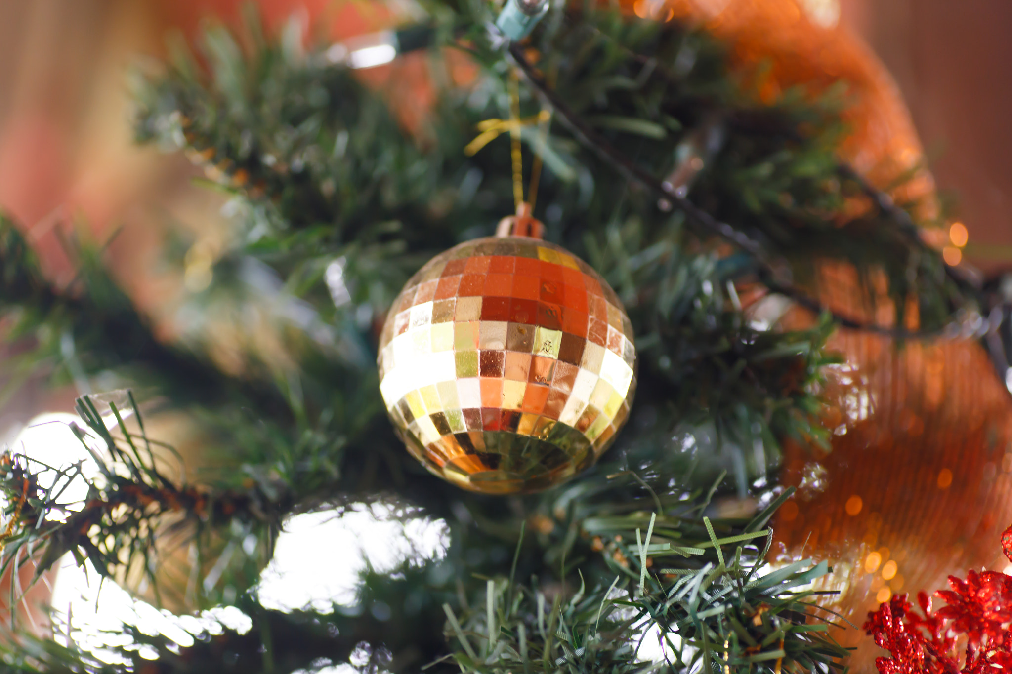 Canon EOS 6D + Tamron SP AF 90mm F2.8 Di Macro sample photo. Christmas ball on tree photography