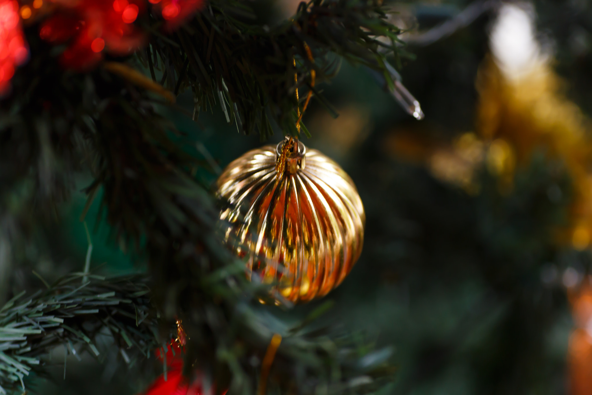 Canon EOS 6D + Tamron SP AF 90mm F2.8 Di Macro sample photo. Christmas ball on tree photography