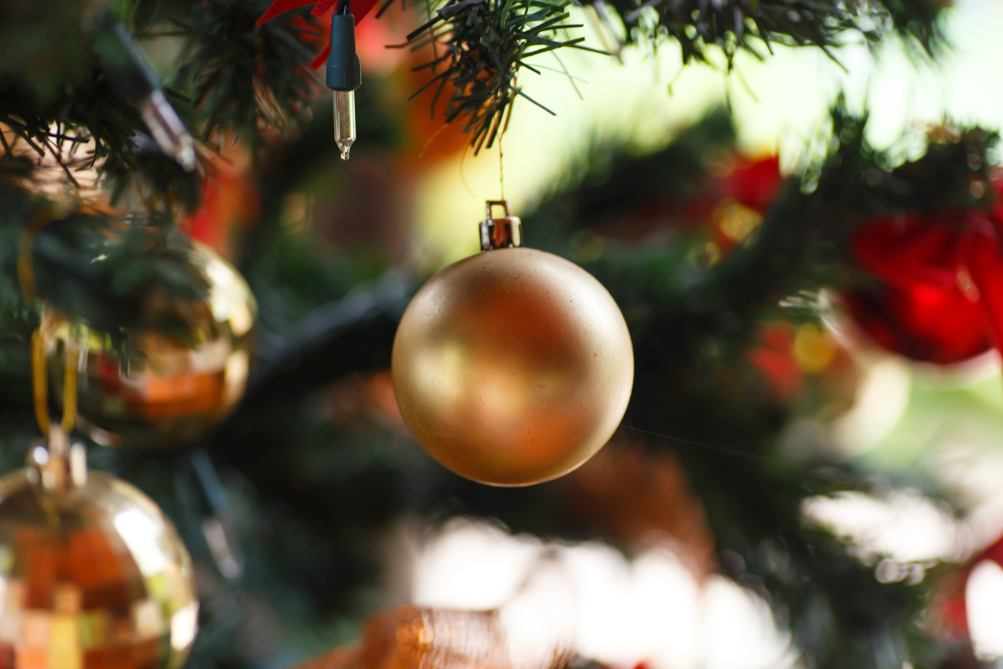 Canon EOS 6D + Tamron SP AF 90mm F2.8 Di Macro sample photo. Christmas ball on tree photography