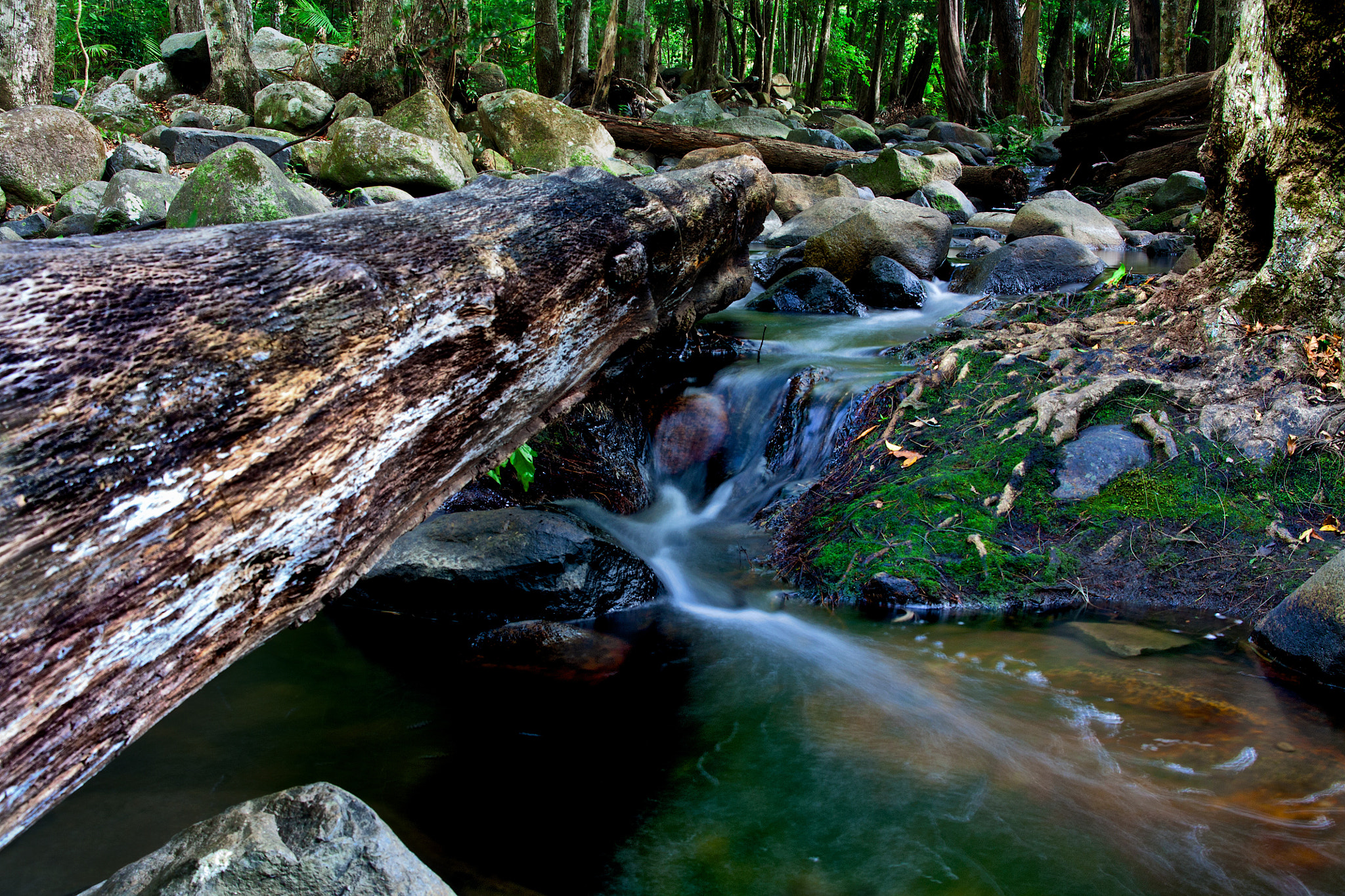 Tamron AF 28-200mm F3.8-5.6 XR Di Aspherical (IF) Macro sample photo. Diverting the stream photography