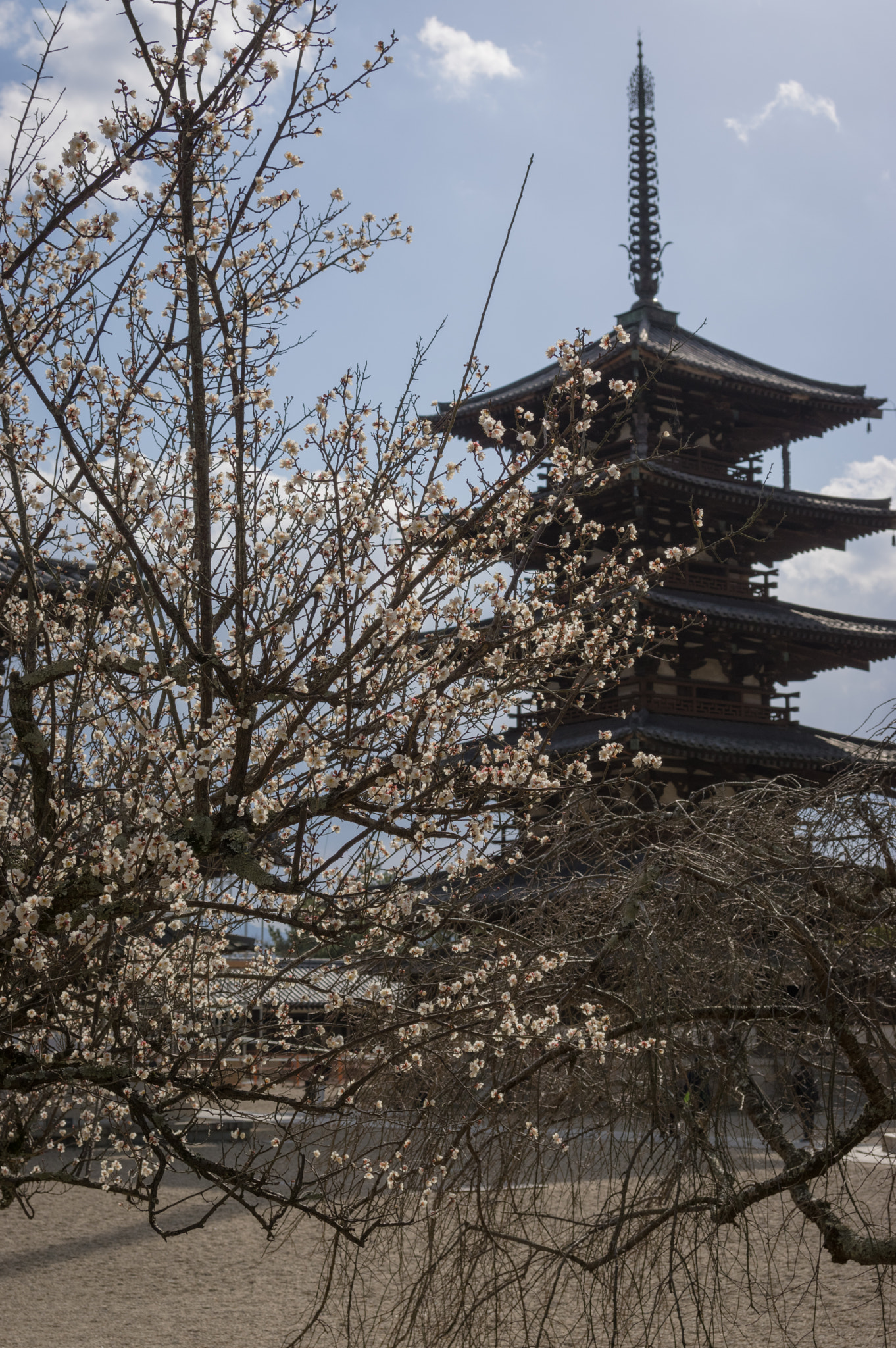 Pentax K-3 II sample photo. Ume and pagoda photography