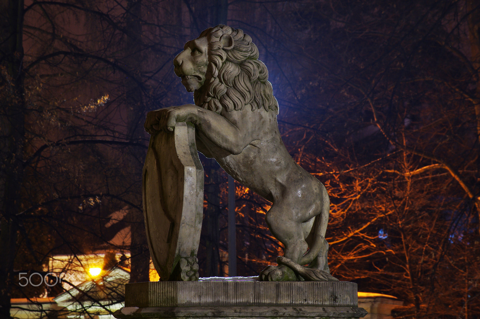 smc PENTAX-DA L 50-200mm F4-5.6 ED sample photo. Lion   photography