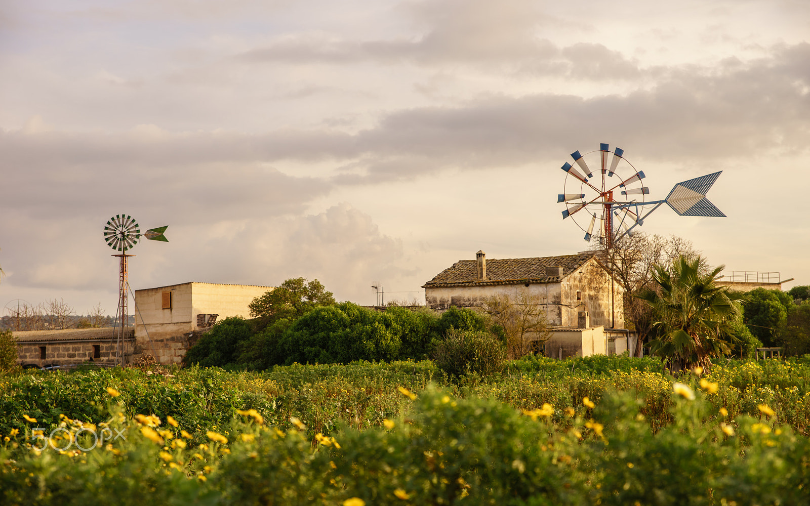 24-70mm F2.8 sample photo. Mallorca photography