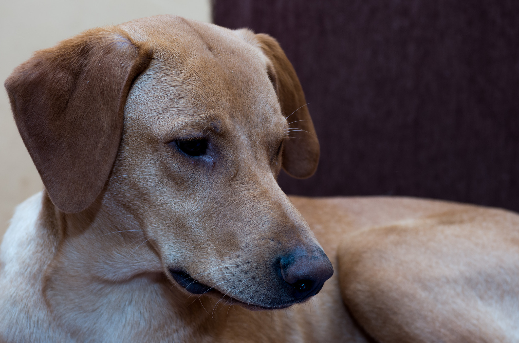 Pentax smc DA 17-70mm F4.0 AL (IF) SDM sample photo. Bekő photography