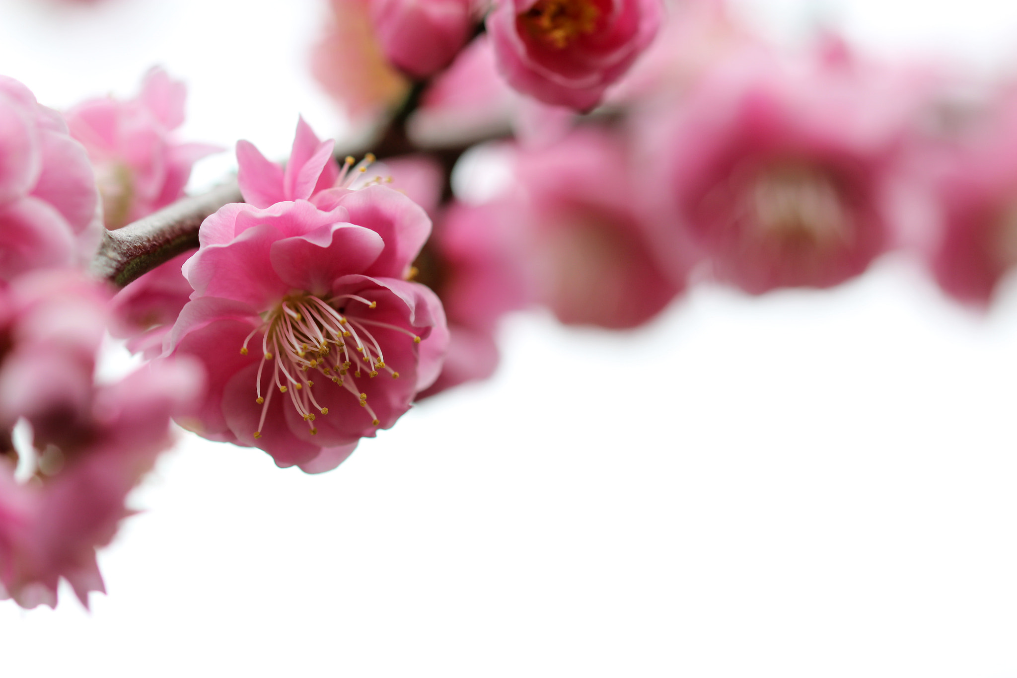 Sigma 105mm F2.8 EX DG OS HSM sample photo. Arch photography