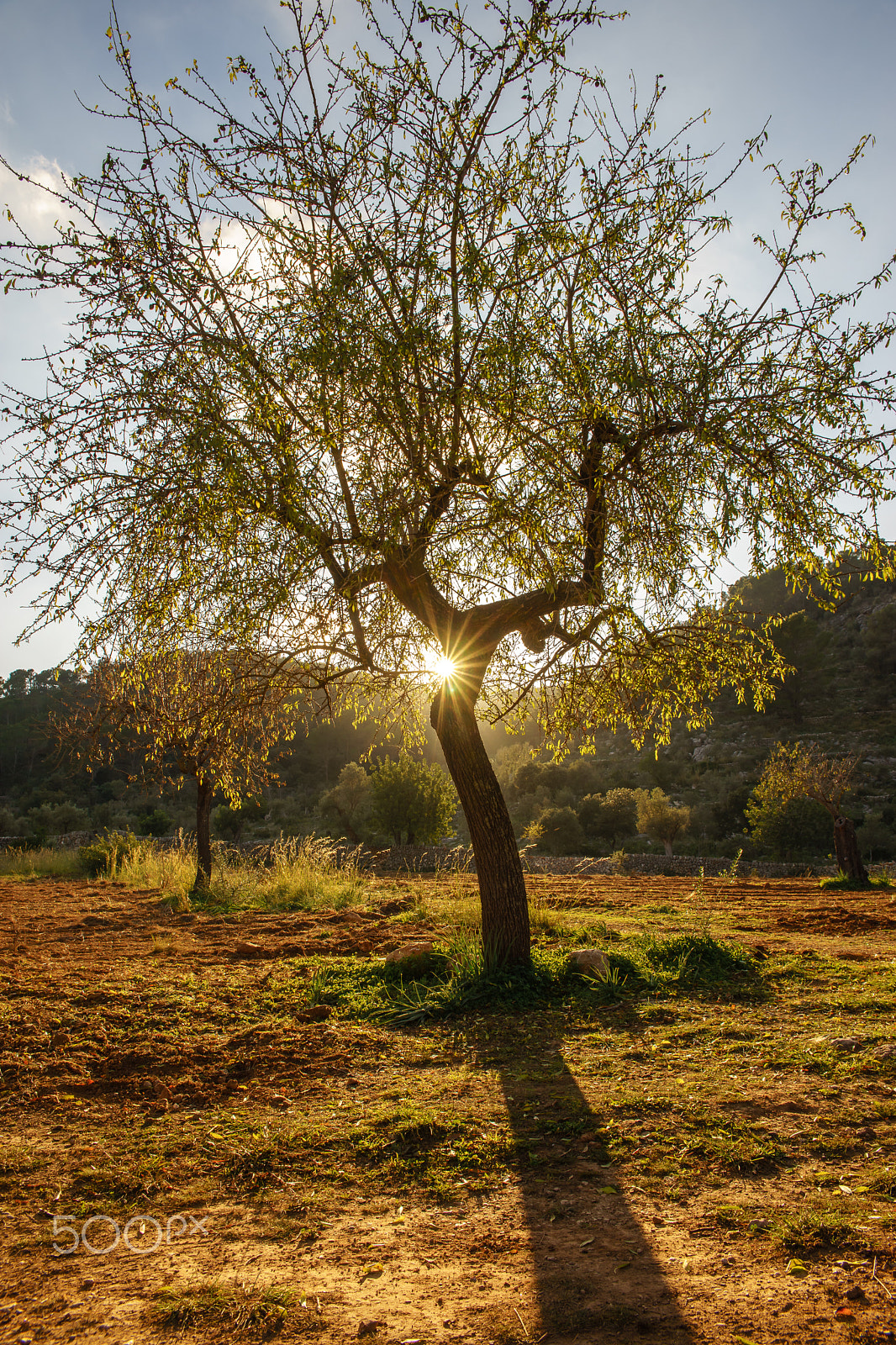 24-70mm F2.8 sample photo. Sa raixa photography
