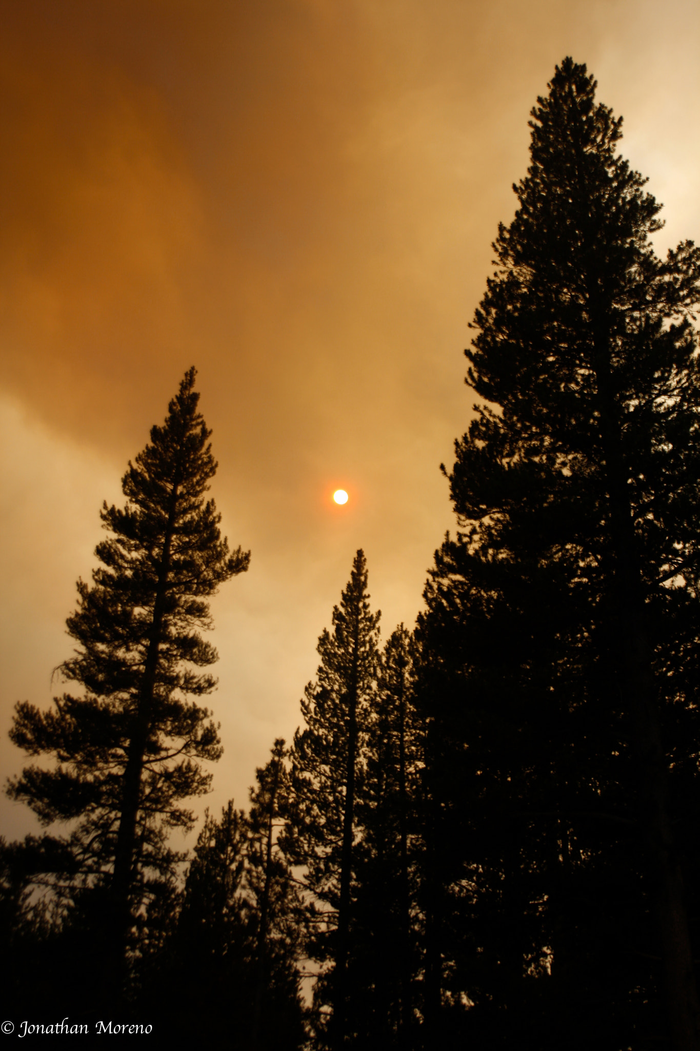 Canon EF 28-105mm F4.0-5.6 USM sample photo. Fire in yosemite photography