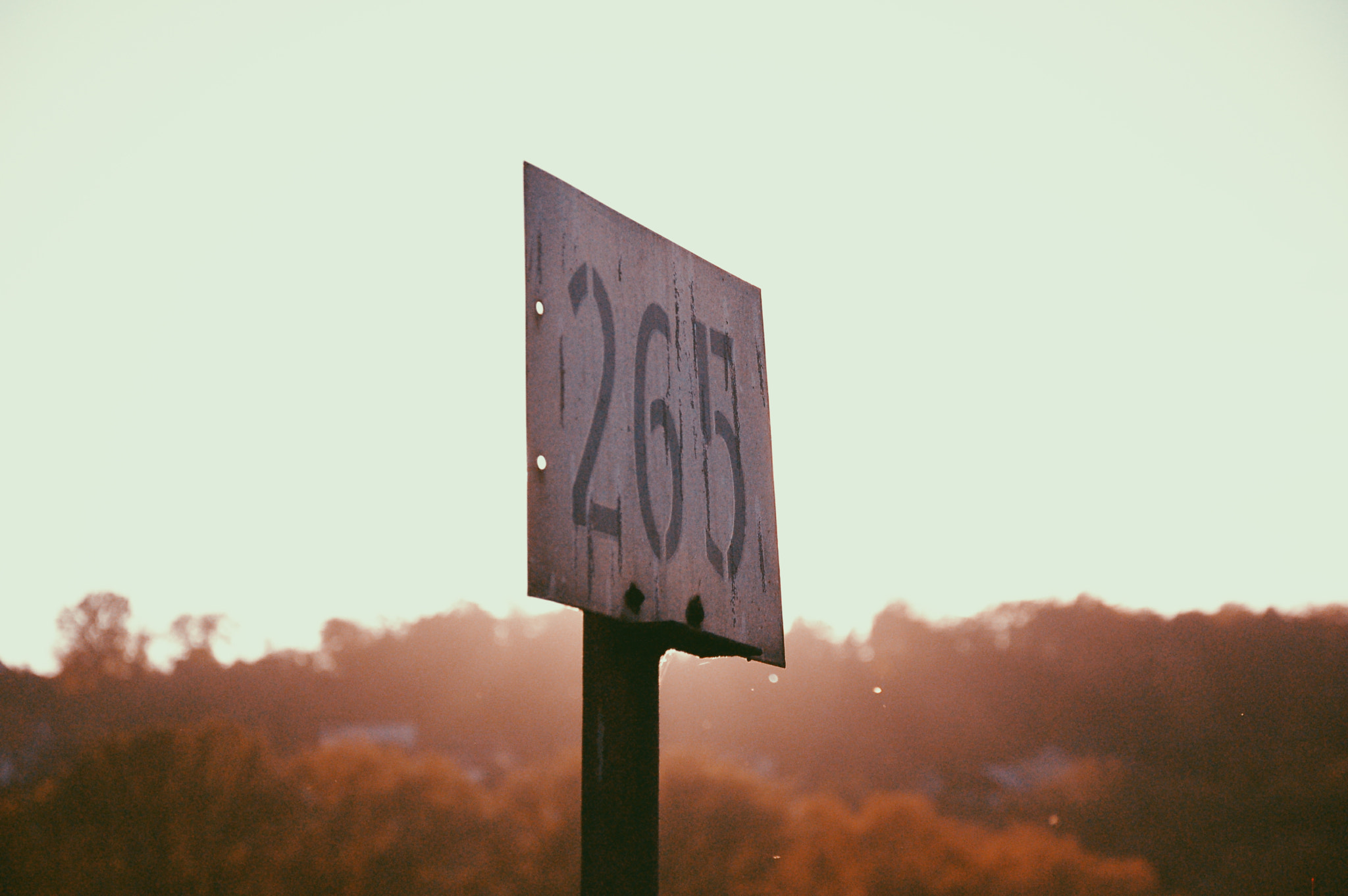 Nikon D50 sample photo. Processed with vsco with p5 preset photography