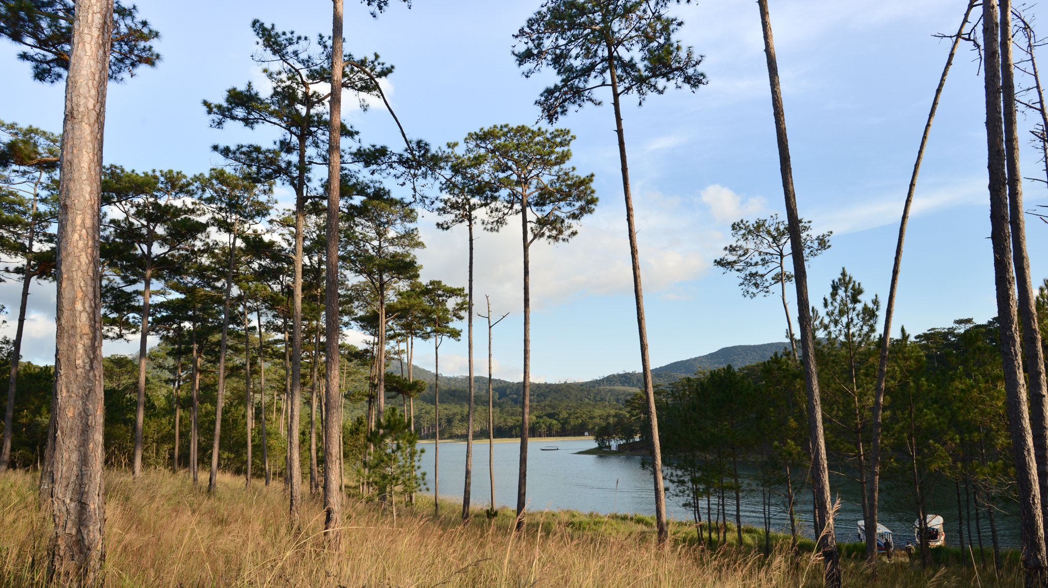 Nikon D800E + Nikon AF-S Nikkor 20mm F1.8G ED sample photo. Dsc_8985.jpg photography