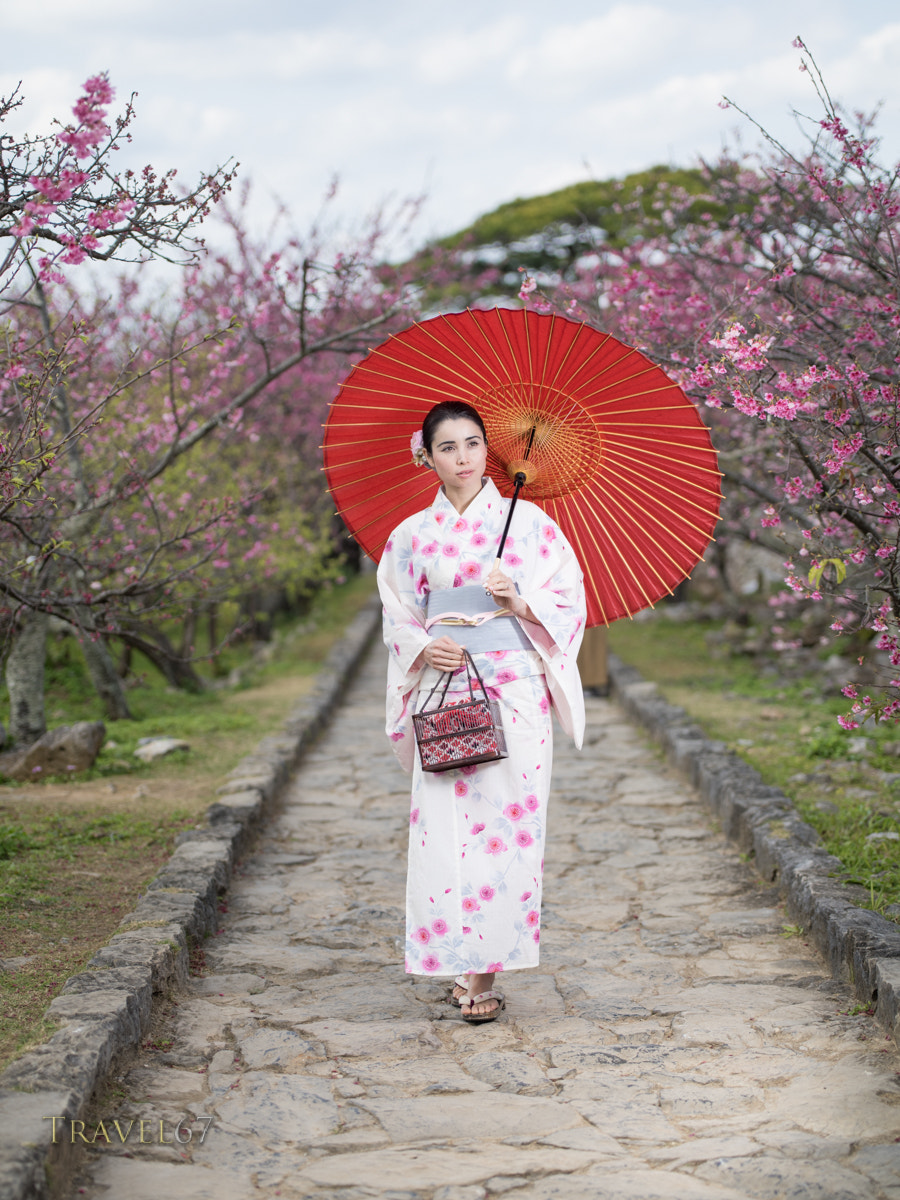 HD Pentax D FA 645 Macro 90mm F2.8 ED AW SR sample photo. Nakijin castle sakura photography