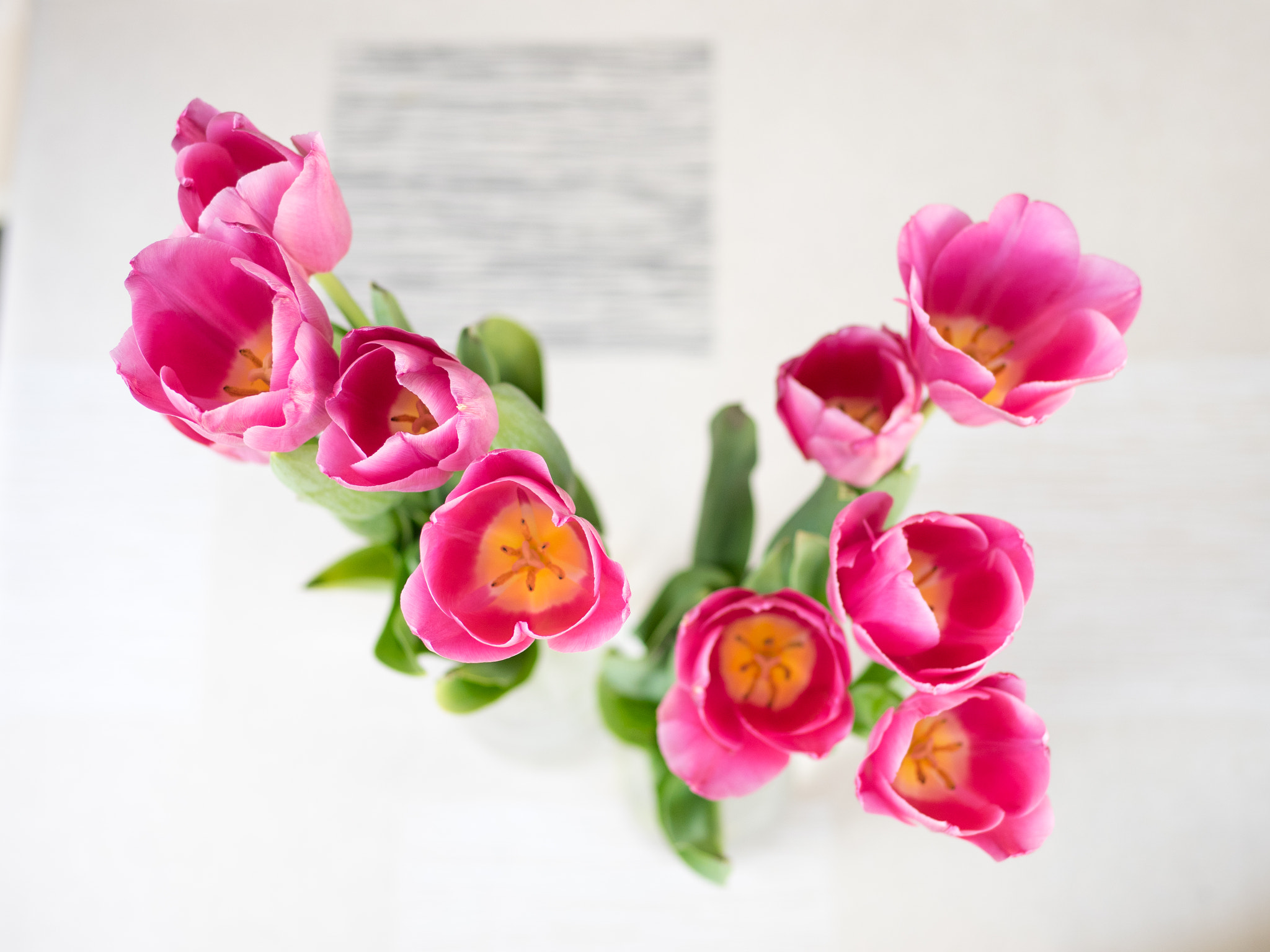 Olympus OM-D E-M1 + Panasonic Leica DG Summilux 25mm F1.4 II ASPH sample photo. Tulips for mummy photography