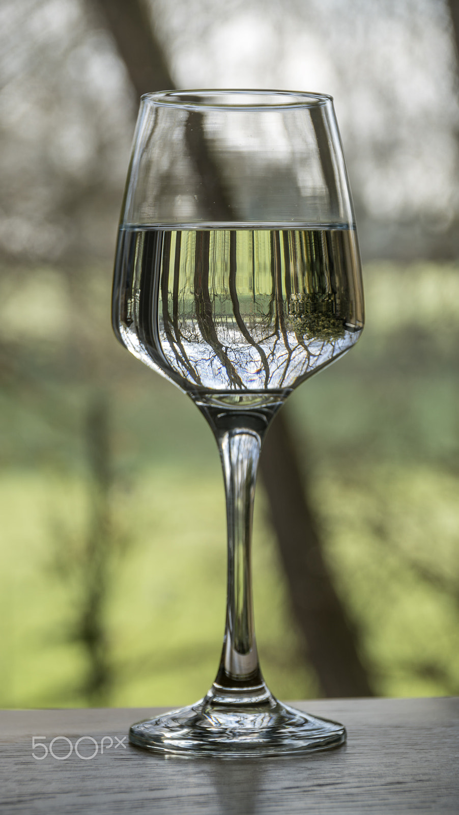 Sony ILCA-77M2 + Tamron AF 28-105mm F4-5.6 [IF] sample photo. Woodland in a glass of wine photography