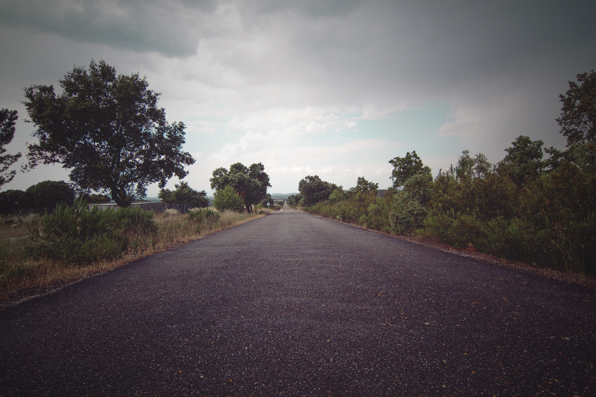 Canon EOS 50D + Tokina AT-X Pro 12-24mm F4 (IF) DX sample photo. View on asphalt road in countryside photography