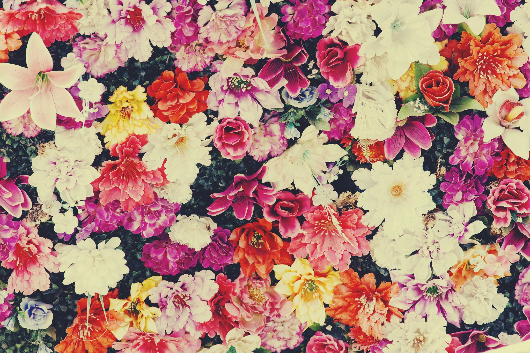 Canon EF 100-400mm F4.5-5.6L IS USM sample photo. Vibrant flower background photography