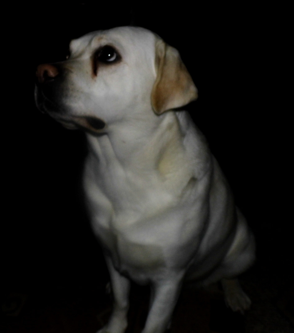 Benq GH600 sample photo