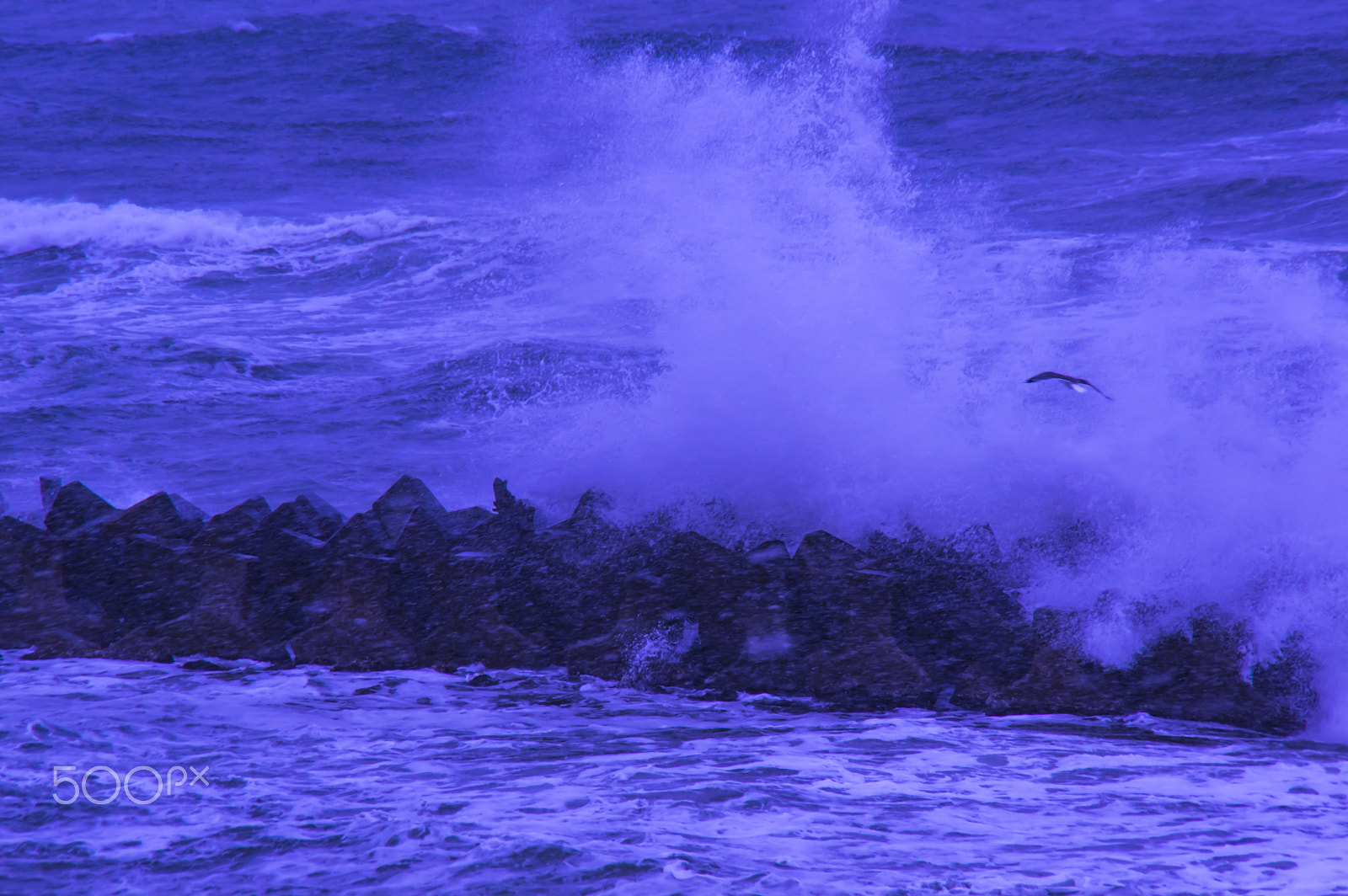 Tamron AF 18-200mm F3.5-6.3 XR Di II LD Aspherical (IF) Macro sample photo. " 冬の日本海 "sea of japan in the winter photography