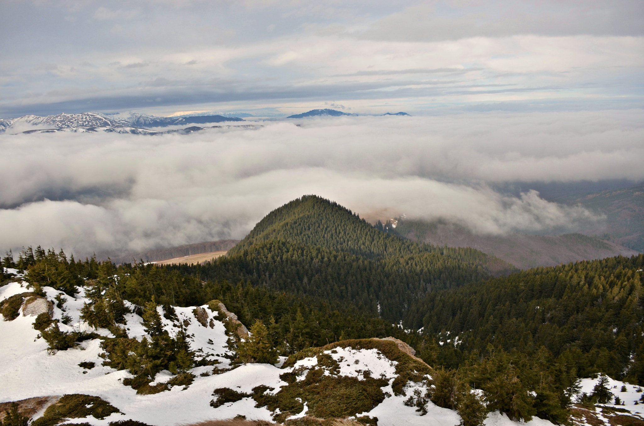 Sigma 18-50mm F2.8-4.5 DC OS HSM sample photo. Foggy day photography