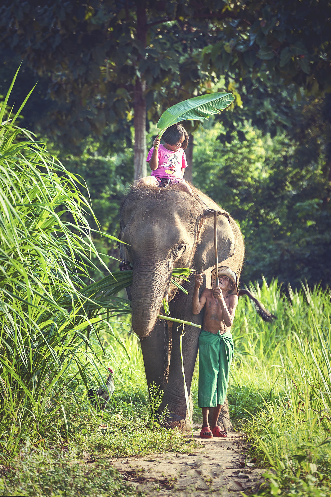 Nikon D3 sample photo. Happiness photography