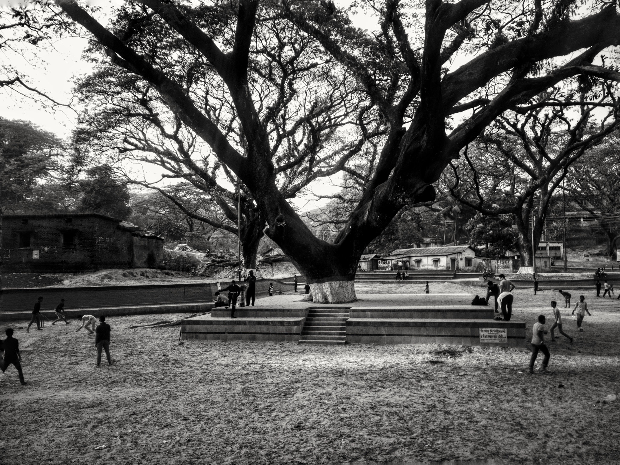 OnePlus One A0001 sample photo. Playground and the tree. photography