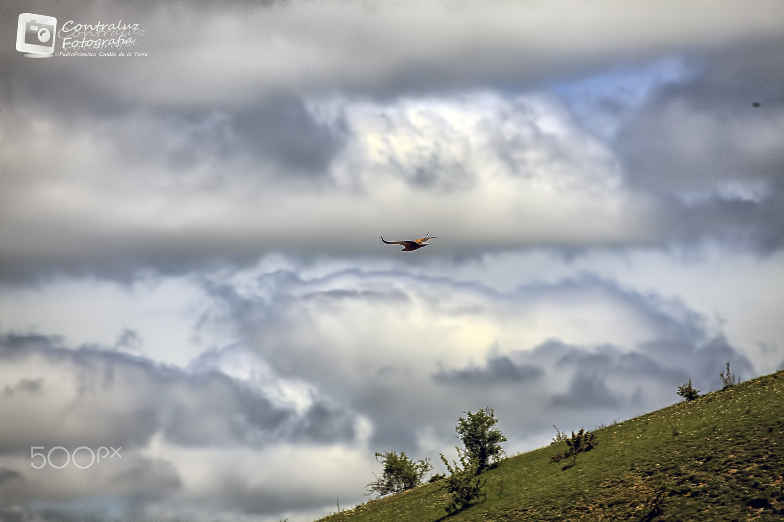 Canon EF 35-350mm F3.5-5.6L USM sample photo. Entre nubes photography