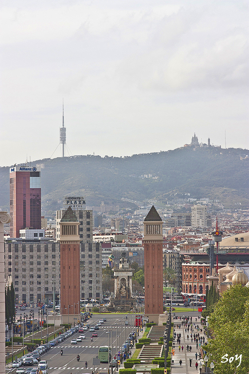 Sigma 85mm F1.4 EX DG HSM sample photo. Av. reina maria cristina. photography
