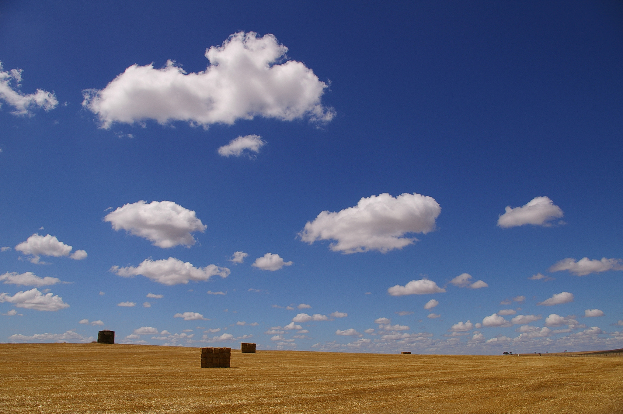 Pentax *ist DS sample photo. Alentejo photography