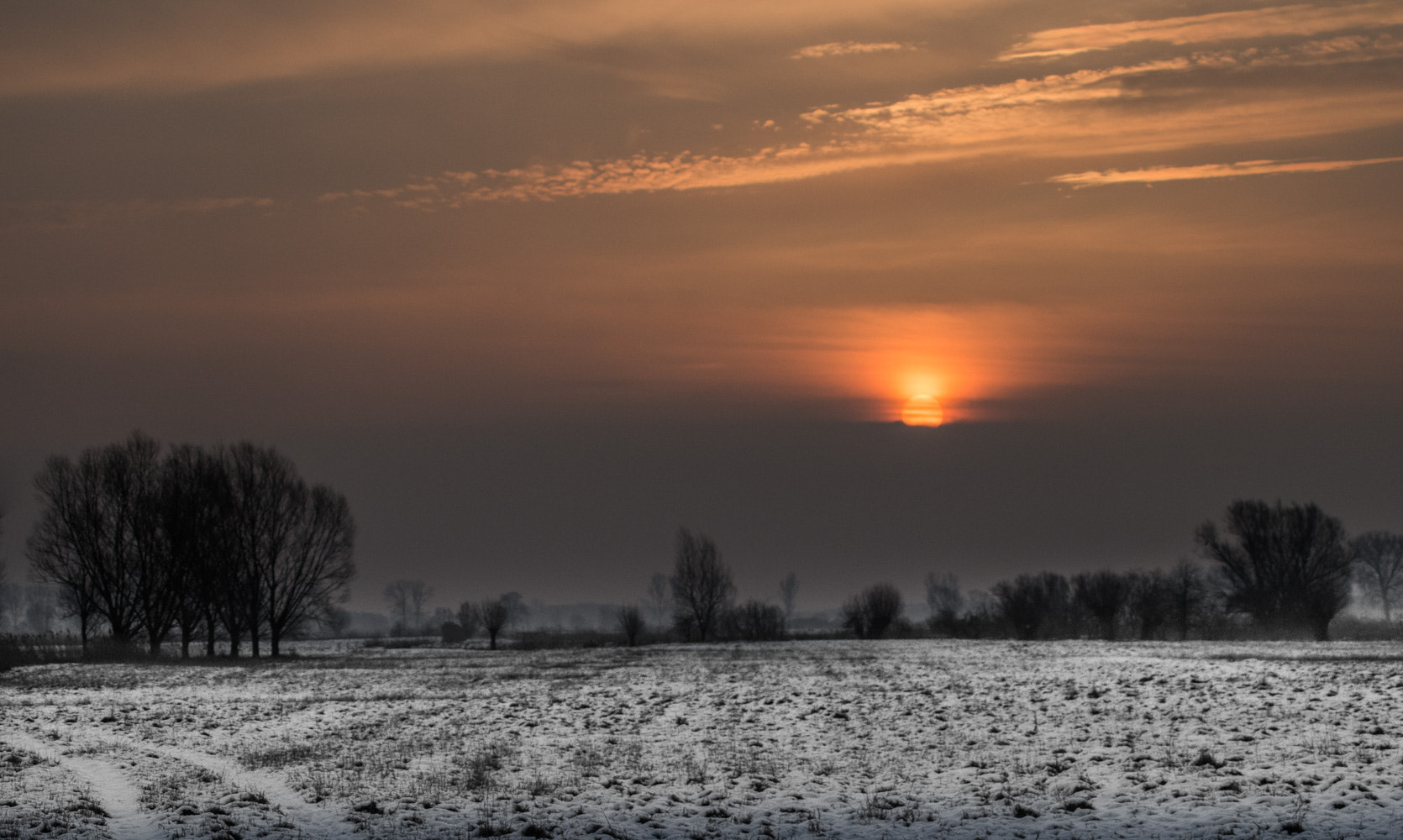 Pentax K-50 + Sigma sample photo. In the splendor of the morning photography