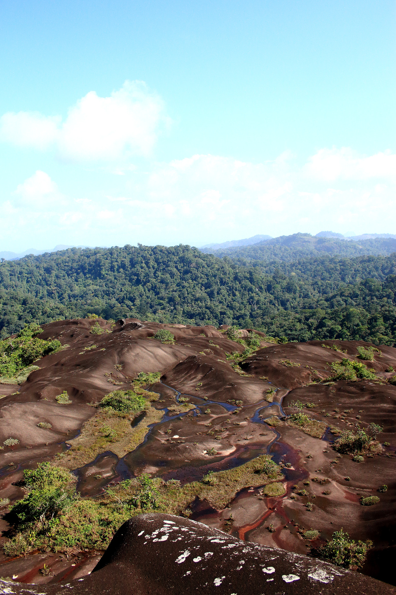 Canon EF-S 18-55mm F3.5-5.6 sample photo. Vue depuis le mont talwakem (brazil) photography