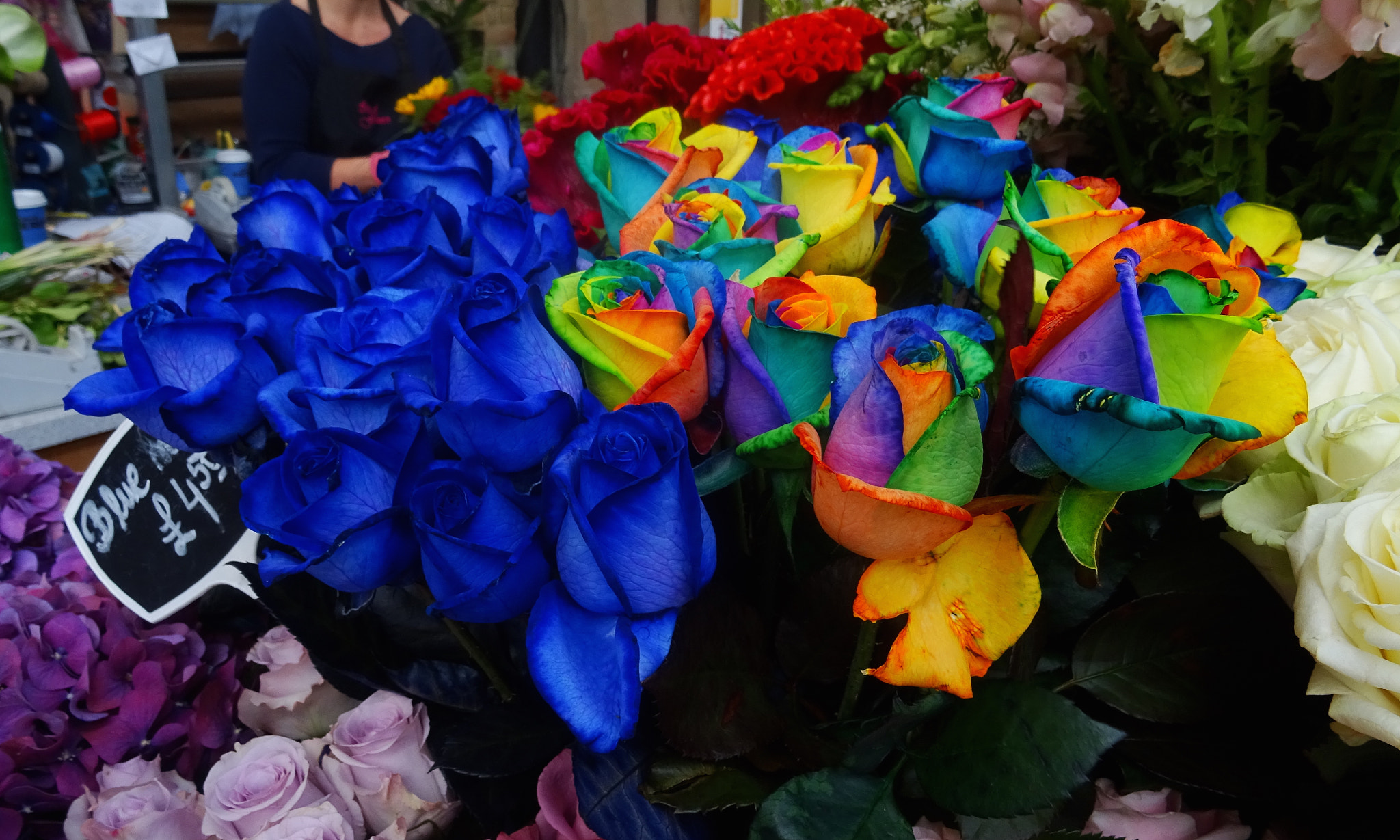 Sony DSC-HX60 + Sony 24-720mm F3.5-6.3 sample photo. Rainbow roses photography