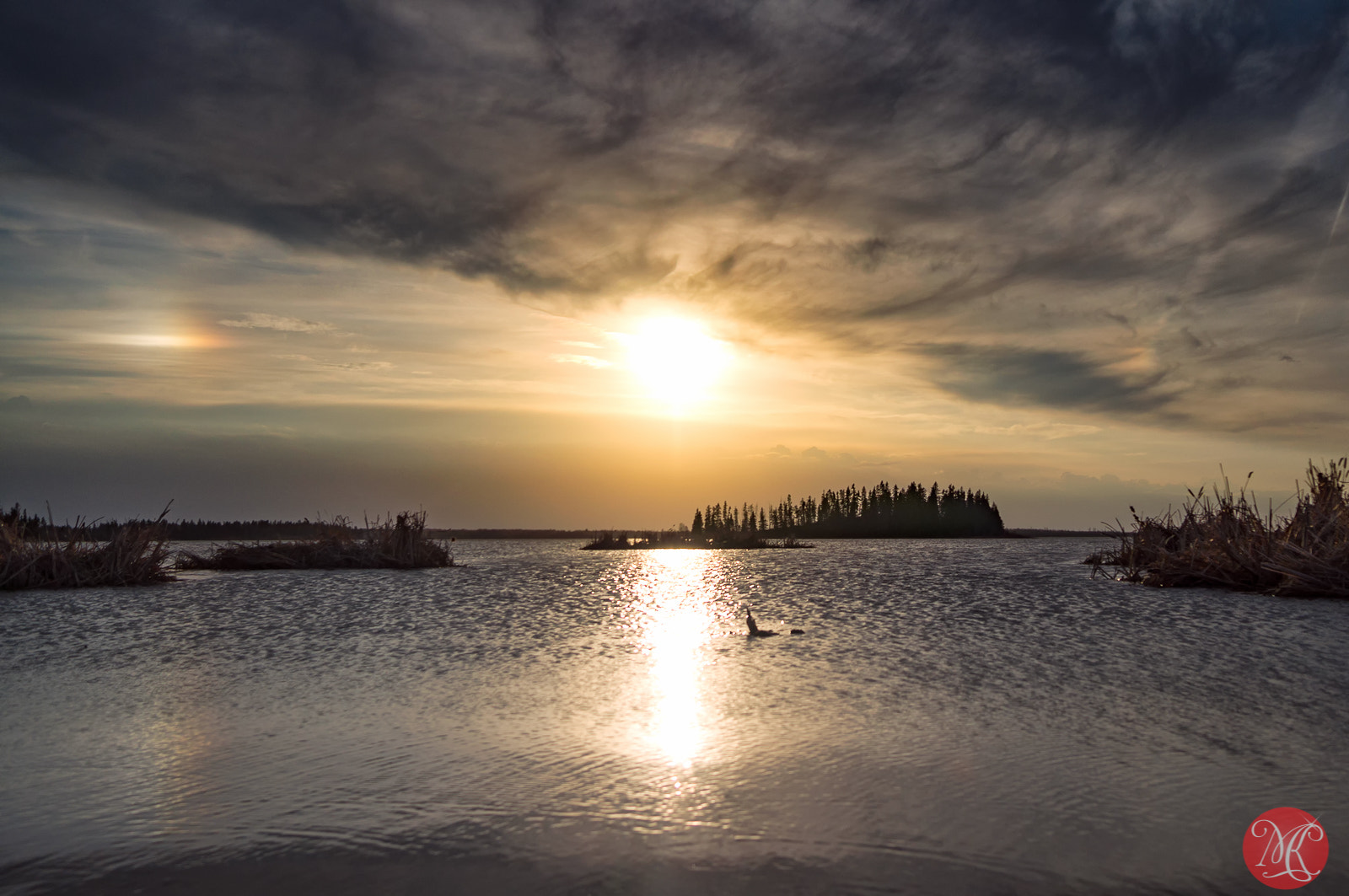 Sony E 10-18mm F4 OSS sample photo. Spring time in elk island 5 photography