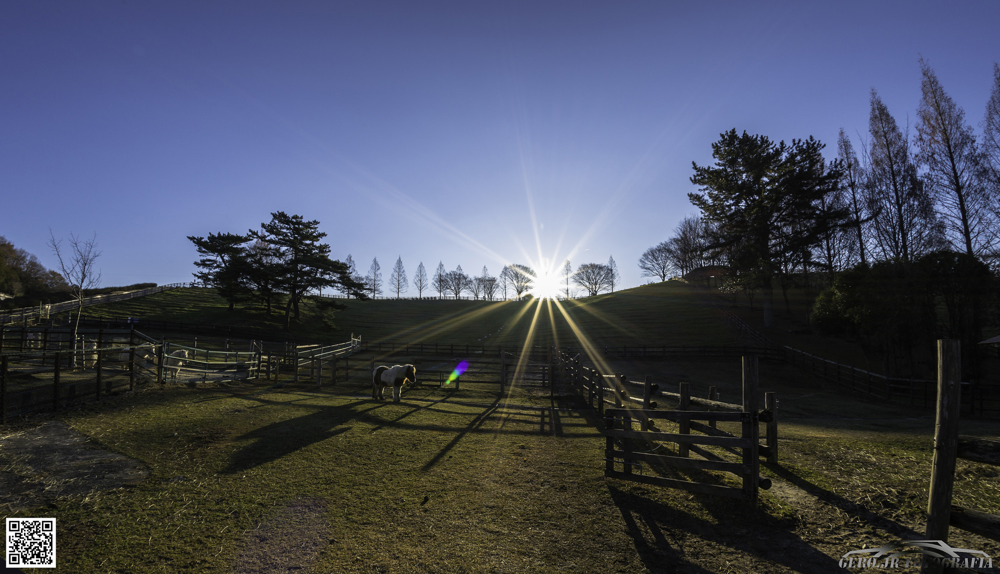 Nikon D610 + Sigma 15mm F2.8 EX DG Diagonal Fisheye sample photo. Bom dia... photography