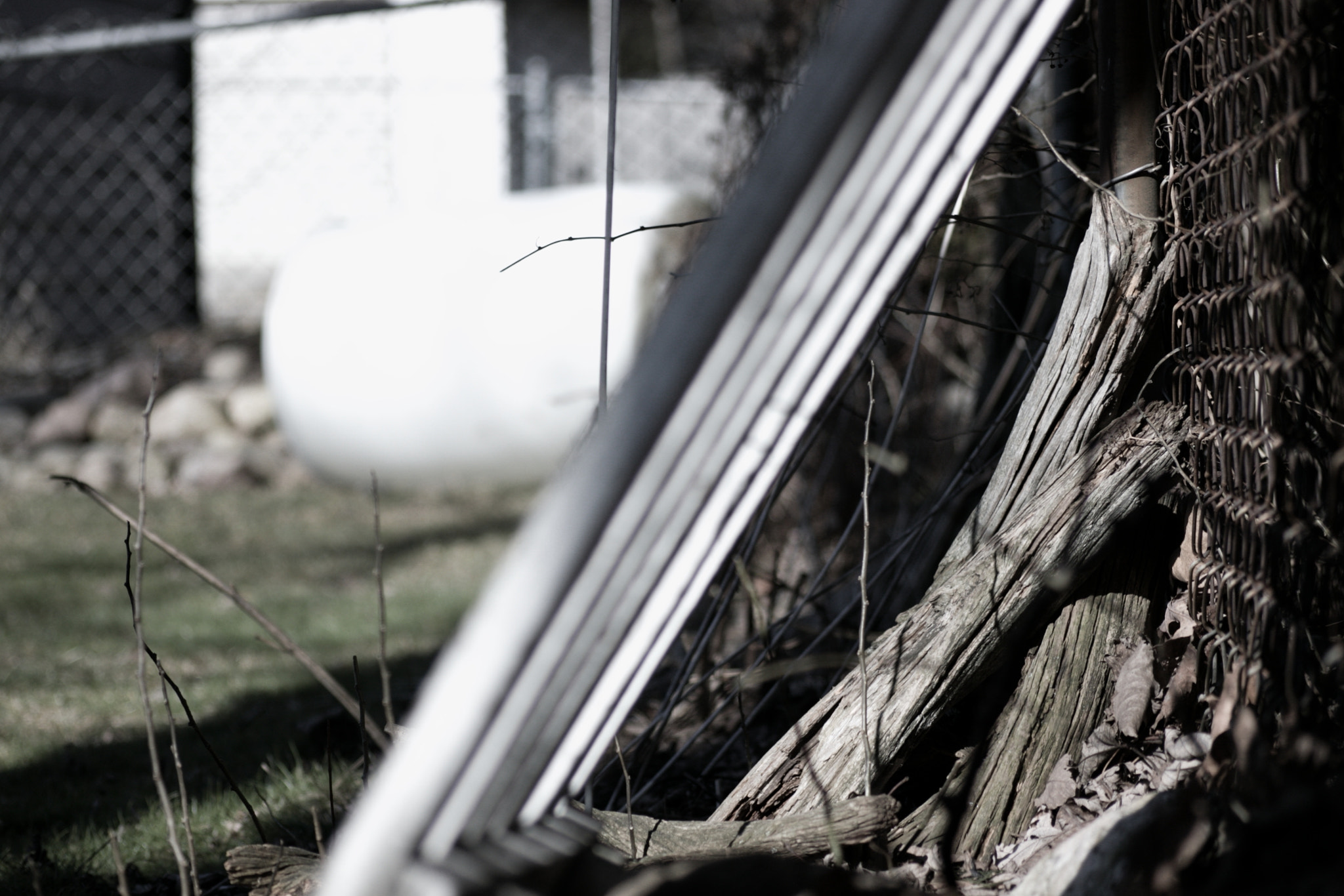 Sigma 55-200mm f/4-5.6 DC sample photo. Logs photography