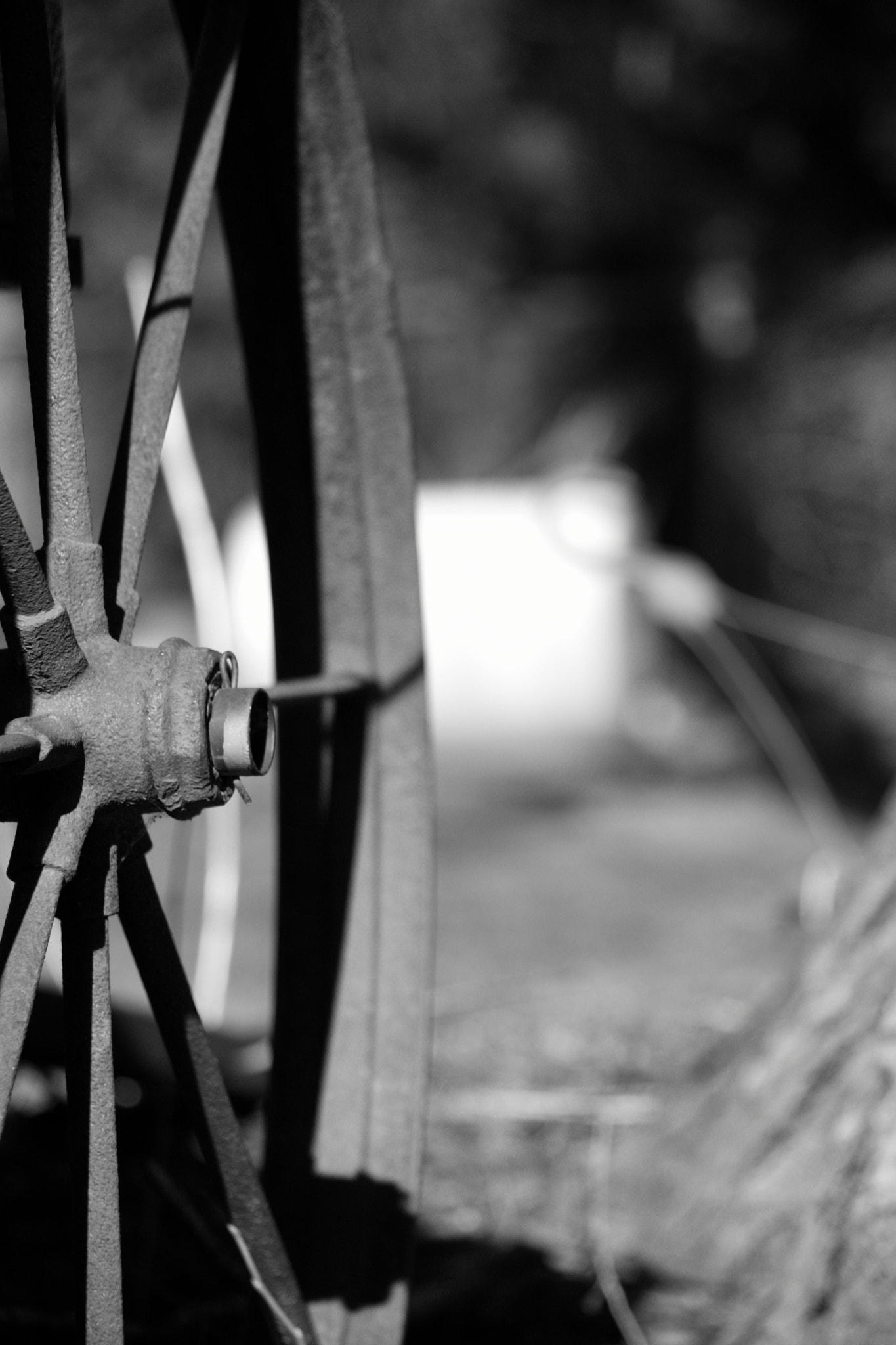 Canon EOS 50D + Sigma 55-200mm f/4-5.6 DC sample photo. Wagon wheel photography