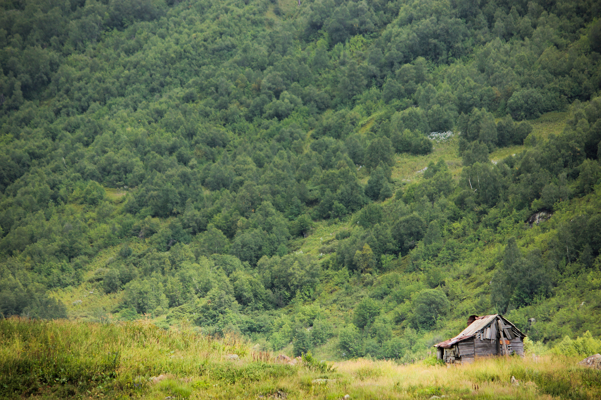 Canon EOS 600D (Rebel EOS T3i / EOS Kiss X5) sample photo. Needle in a haystack photography
