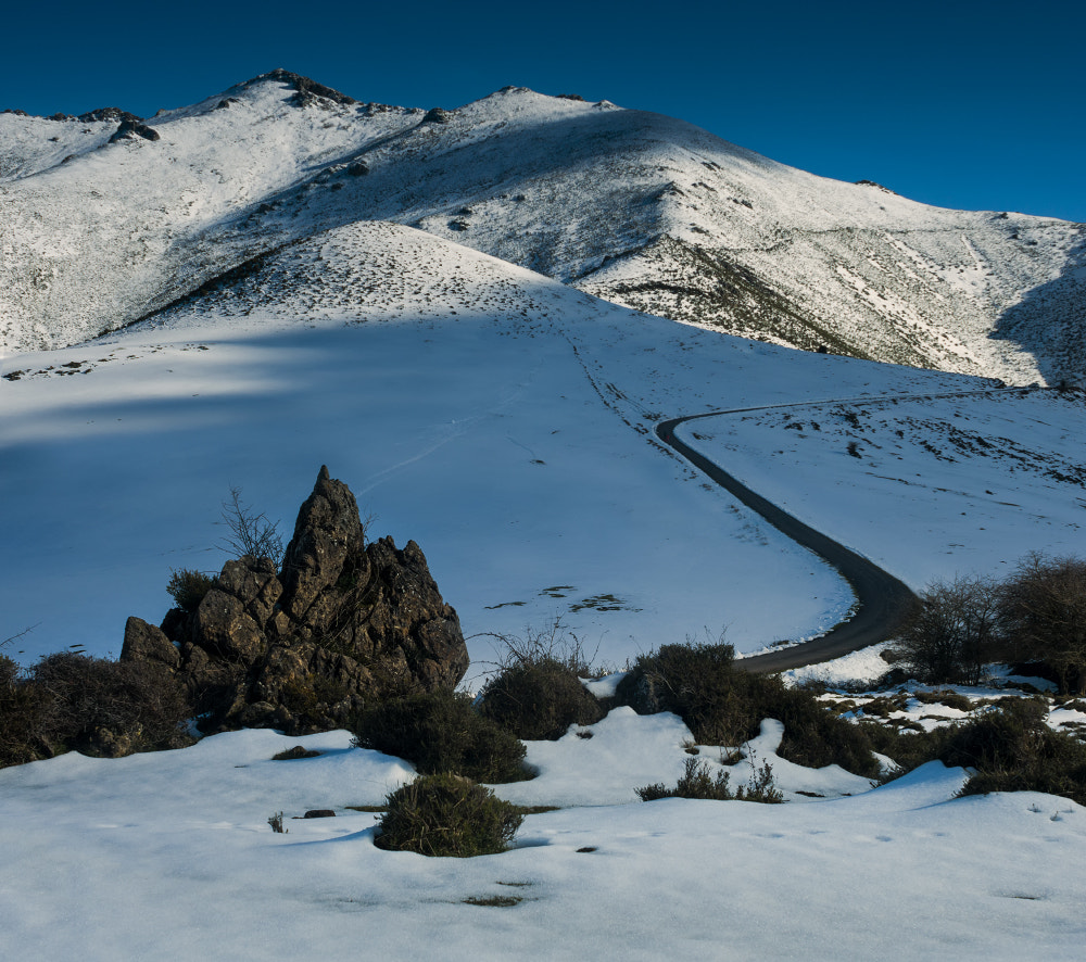 AF Zoom-Nikkor 28-85mm f/3.5-4.5 sample photo. Winter photography