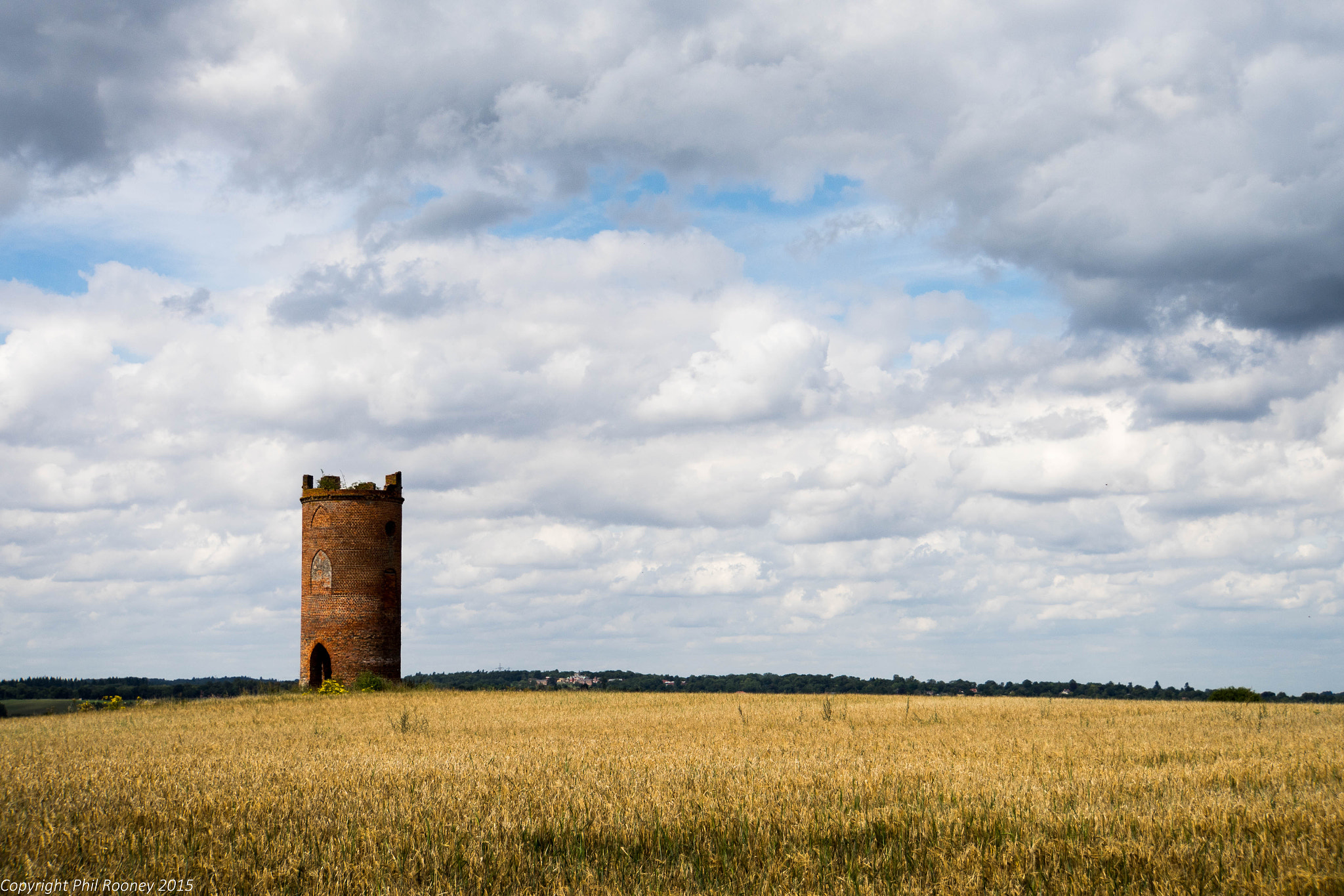 Sony a7R + Sony E 18-200mm F3.5-6.3 OSS sample photo. Wilder's folly photography