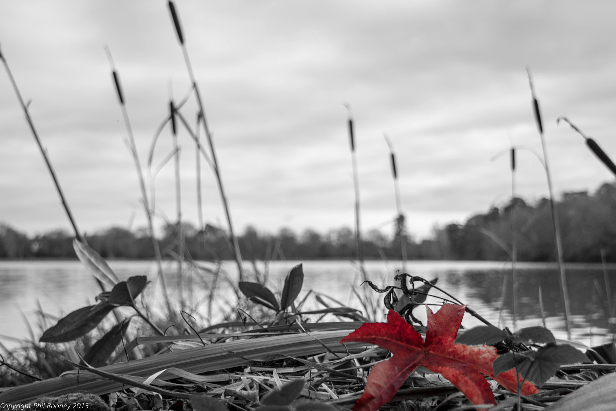 Sony a7R + Sony E 18-200mm F3.5-6.3 OSS sample photo. Winter colour photography