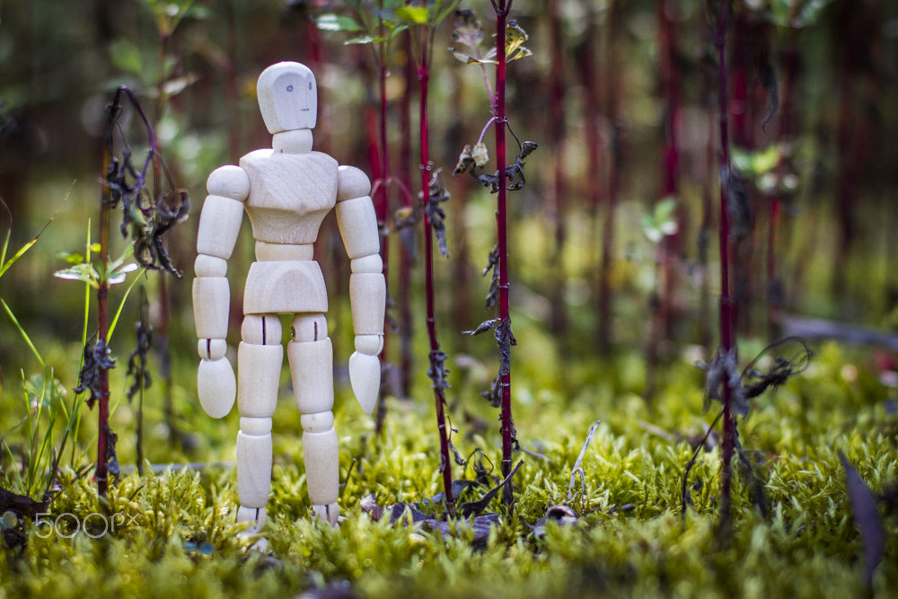 ZEISS Planar T* 50mm F1.4 sample photo. In the moss photography