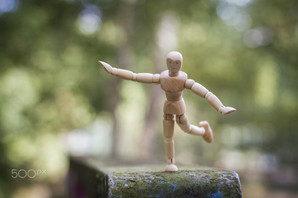 ZEISS Planar T* 50mm F1.4 sample photo. Balance photography