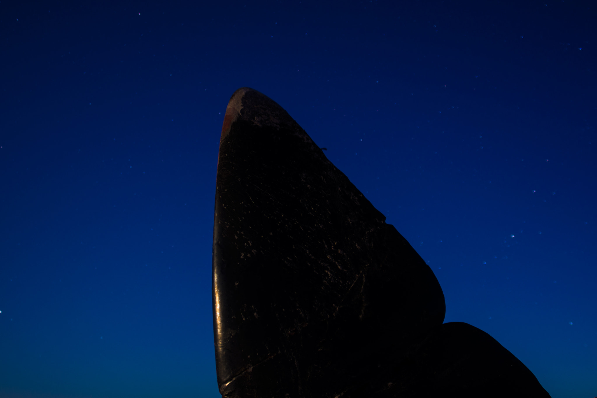 Nikon D7100 + Nikon AF-S Nikkor 20mm F1.8G ED sample photo. The whales tail photography