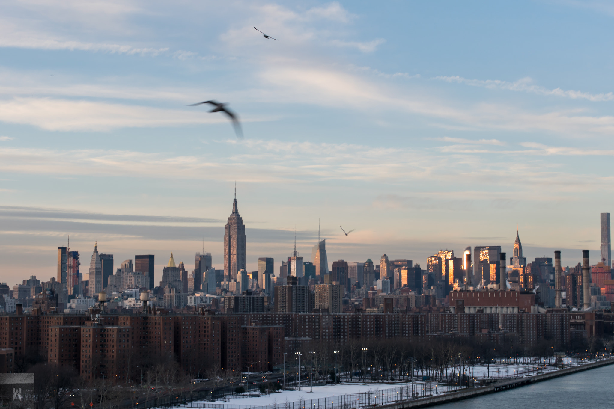 Nikon D5300 + Sigma 50mm F1.4 EX DG HSM sample photo. 3 birds photography