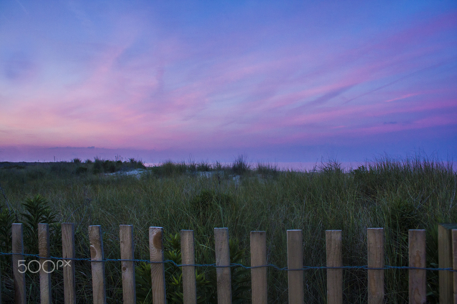 Canon EOS 450D (EOS Rebel XSi / EOS Kiss X2) sample photo. Cotton candy skies photography
