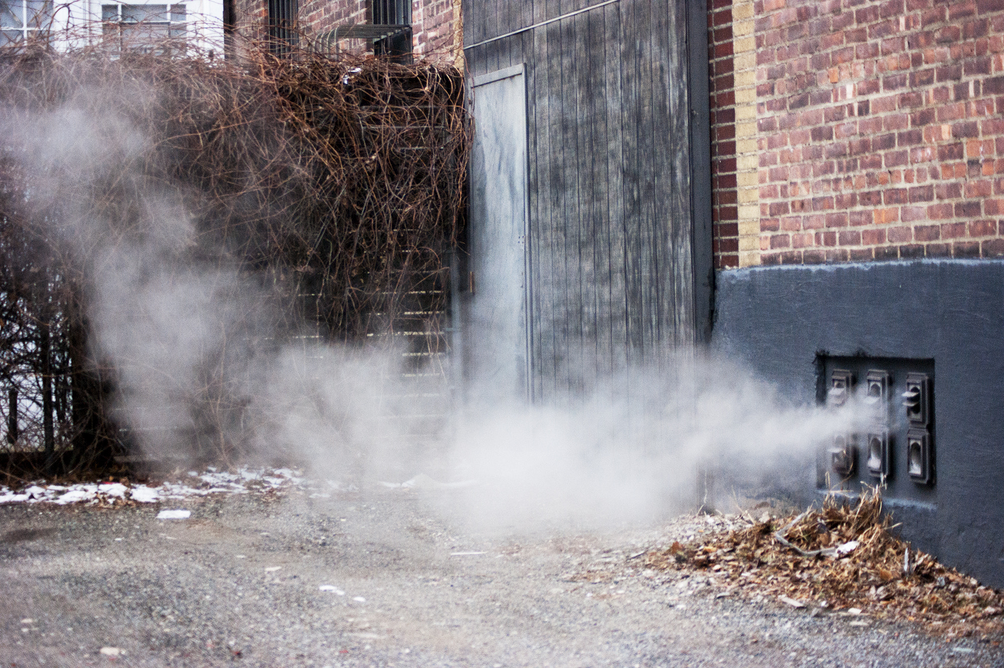 Sony Alpha DSLR-A350 + Sony DT 55-200mm F4-5.6 SAM sample photo. Fog photography