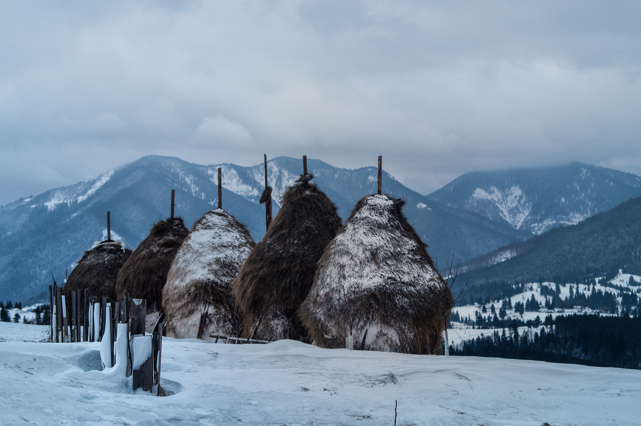 Minolta AF 35-105mm F3.5-4.5 sample photo. Haystacks in winter photography