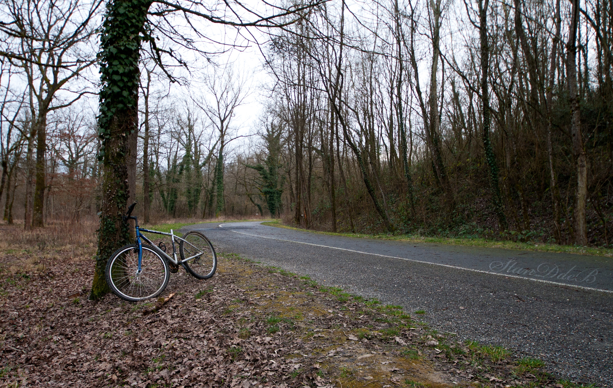 Sigma 8-16mm F4.5-5.6 DC HSM sample photo. End of term photography