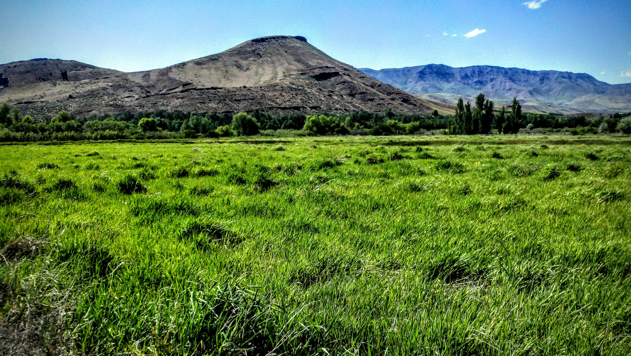 Motorola Droid X sample photo. Summer grass and hills photography